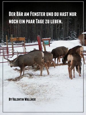 cover image of DER BÄR AM FENSTER UND DU HAST NUR NOCH EIN PAAR TAGE ZU LEBEN